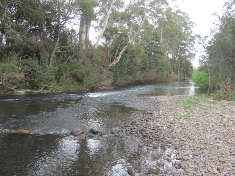 14439 Highland Lakes Road, Deloraine TAS 7304