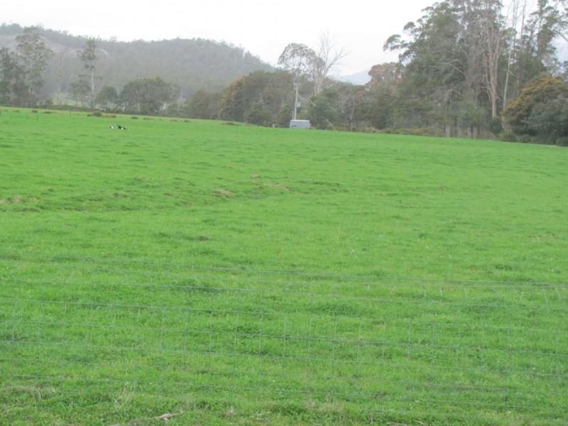 14439 Highland Lakes Road, Deloraine TAS 7304