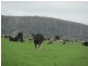 14439 Highland Lakes Road, Deloraine TAS 7304