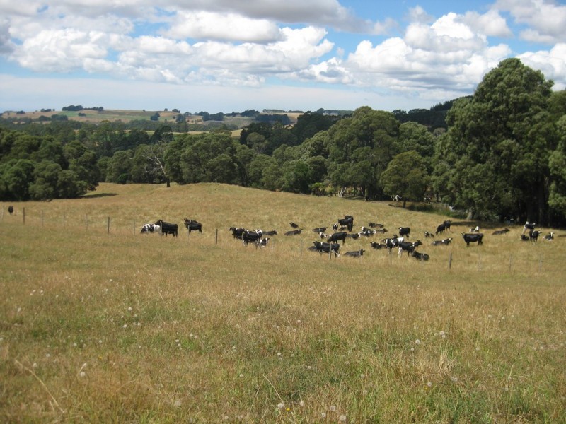 1385 Oldina Road, Oldina TAS 7325