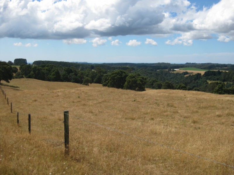 1385 Oldina Road, Oldina TAS 7325