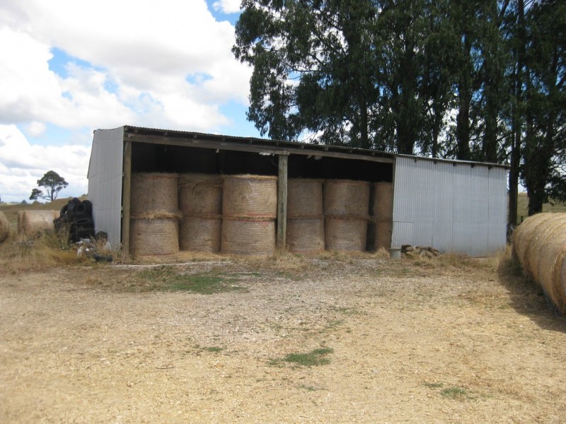 1385 Oldina Road, Oldina TAS 7325