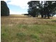 1385 Oldina Road, Oldina TAS 7325