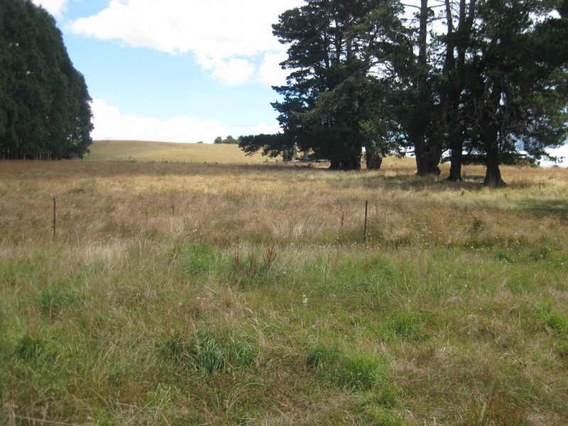 1385 Oldina Road, Oldina TAS 7325