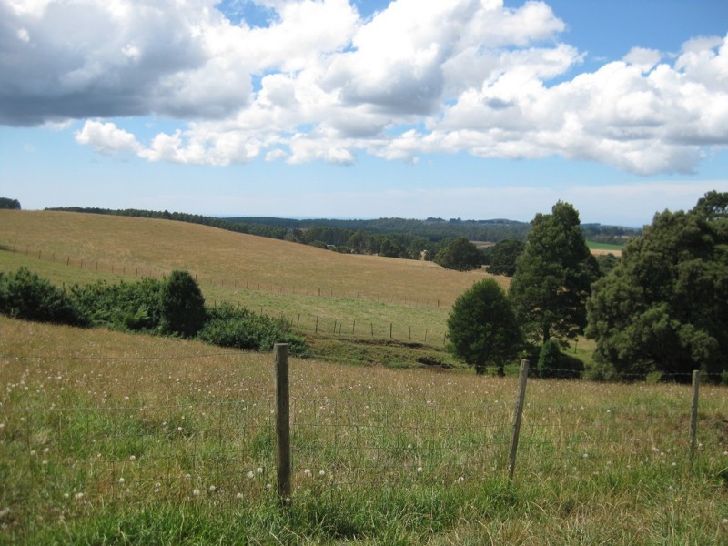 1385 Oldina Road, Oldina TAS 7325