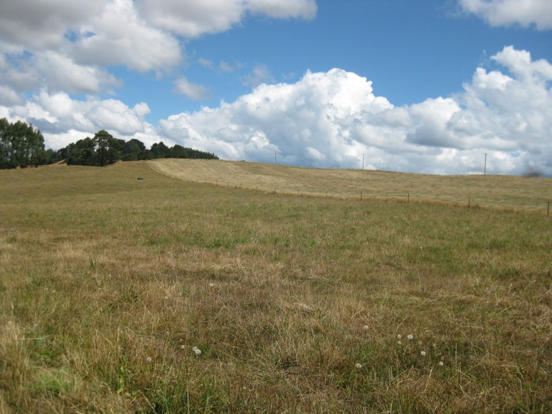 1385 Oldina Road, Oldina TAS 7325