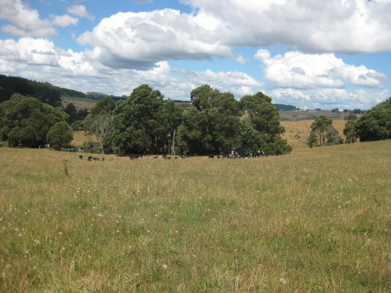 1385 Oldina Road, Oldina TAS 7325