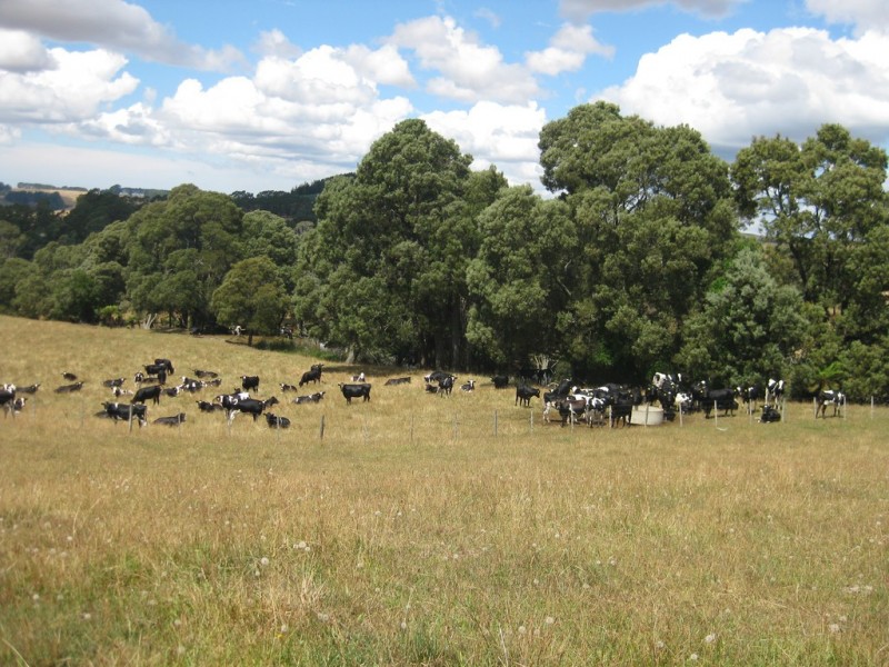 1385 Oldina Road, Oldina TAS 7325