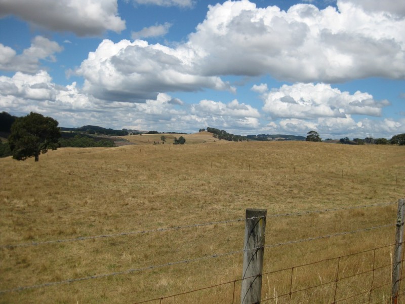 1385 Oldina Road, Oldina TAS 7325