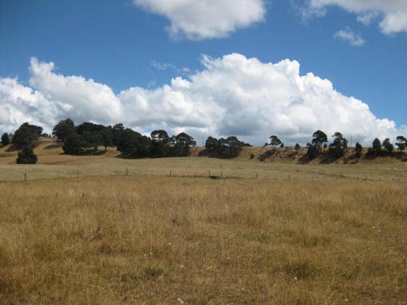 1385 Oldina Road, Oldina TAS 7325