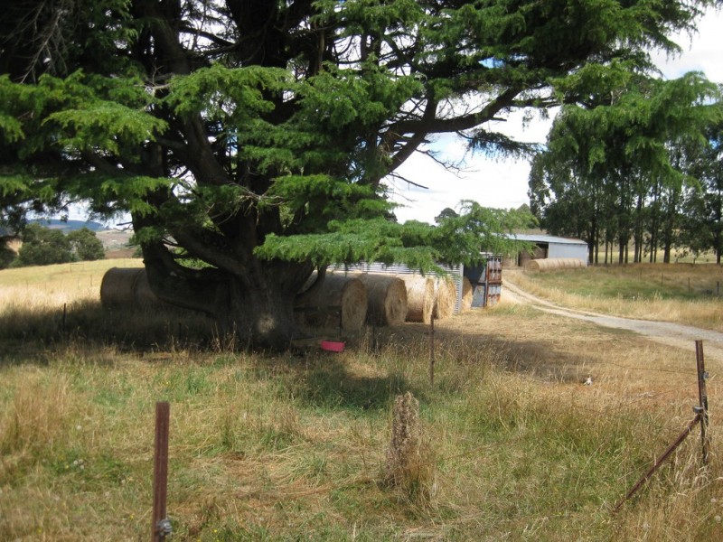 1385 Oldina Road, Oldina TAS 7325