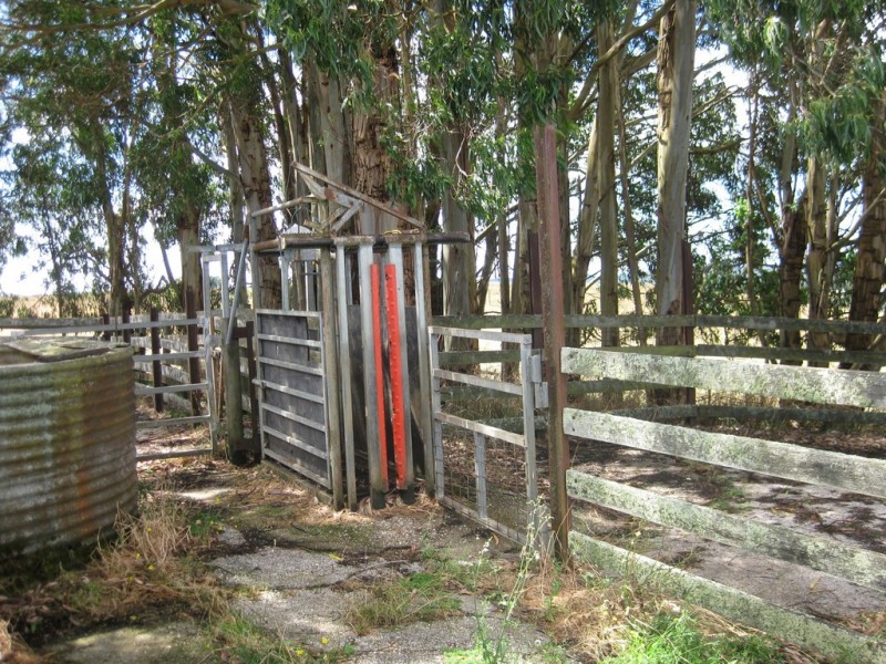 1385 Oldina Road, Oldina TAS 7325