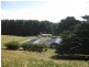 42 Bilsons Road, Irishtown TAS 7330