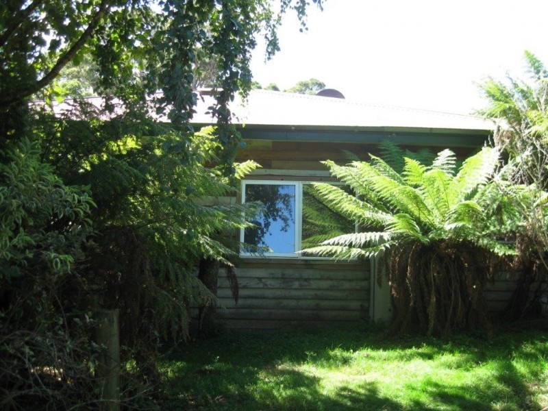 42 Bilsons Road, Irishtown TAS 7330