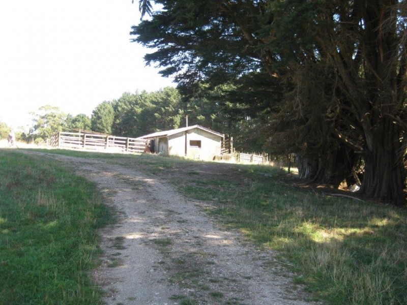 42 Bilsons Road, Irishtown TAS 7330