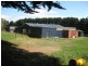 42 Bilsons Road, Irishtown TAS 7330