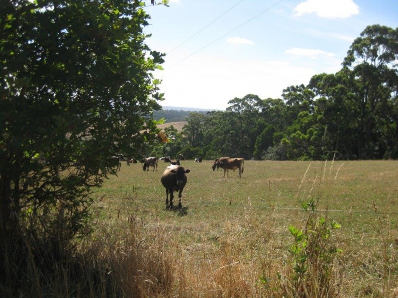 42 Bilsons Road, Irishtown TAS 7330