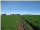 52 Dallas Road, Somerset TAS 7322