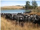 52 Dallas Road, Somerset TAS 7322