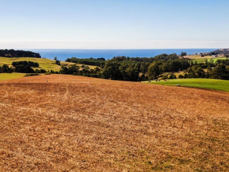 52 Dallas Road, Somerset TAS 7322