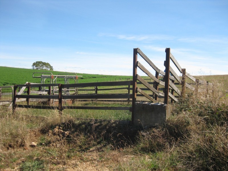 52 Dallas Road, Somerset TAS 7322