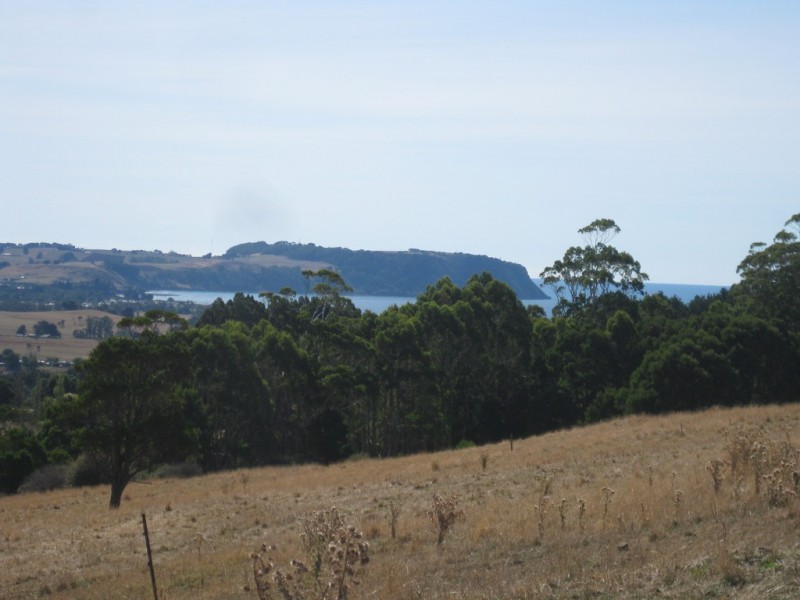 52 Dallas Road, Somerset TAS 7322