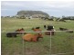 50 Dovecote Road, Stanley TAS 7331