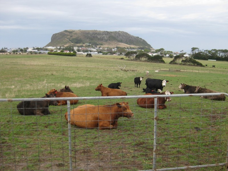 50 Dovecote Road, Stanley TAS 7331