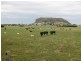50 Dovecote Road, Stanley TAS 7331