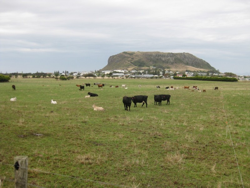 50 Dovecote Road, Stanley TAS 7331