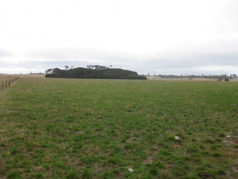 50 Dovecote Road, Stanley TAS 7331