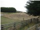 50 Dovecote Road, Stanley TAS 7331