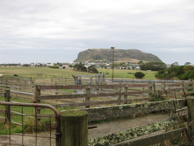 50 Dovecote Road, Stanley TAS 7331