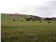 50 Dovecote Road, Stanley TAS 7331