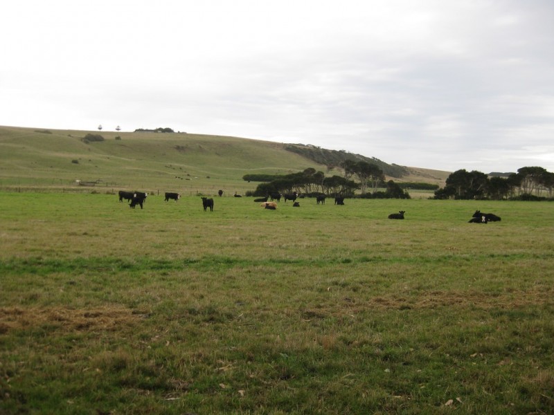 50 Dovecote Road, Stanley TAS 7331
