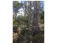 Lot 2, 80 Top Road, Blackwood Creek TAS 7301