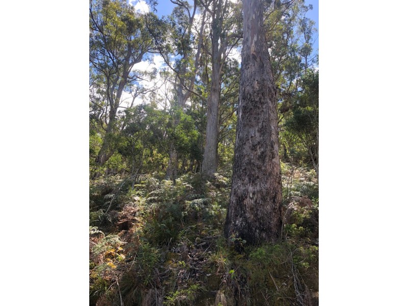 Lot 2, 80 Top Road, Blackwood Creek TAS 7301