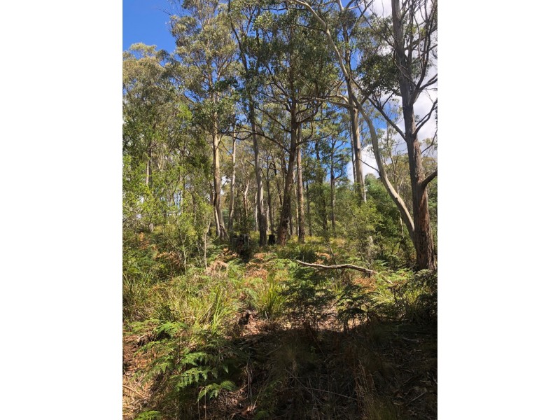 Lot 2, 80 Top Road, Blackwood Creek TAS 7301
