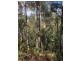 Lot 2, 80 Top Road, Blackwood Creek TAS 7301