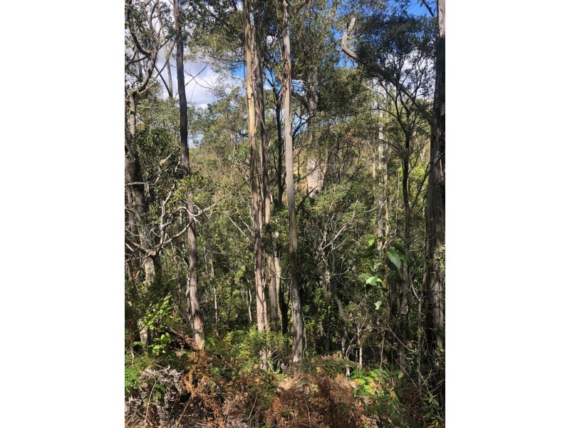 Lot 2, 80 Top Road, Blackwood Creek TAS 7301