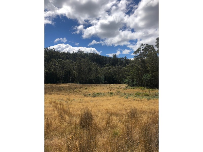 Lot 2, 80 Top Road, Blackwood Creek TAS 7301