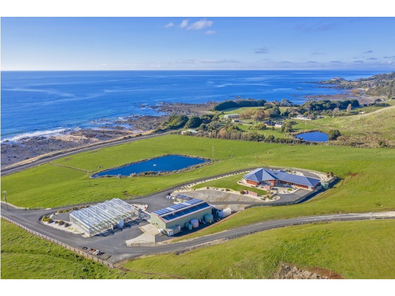 683 Penguin Road, Penguin TAS 7316