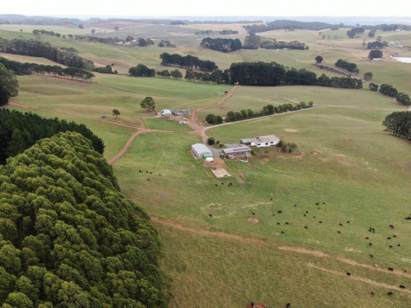 33 Gabys Road, Nabageena TAS 7330