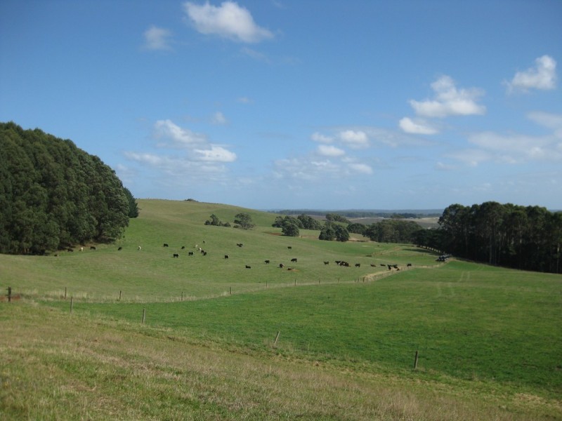 33 Gabys Road, Nabageena TAS 7330