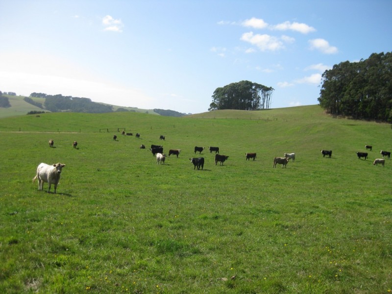 33 Gabys Road, Nabageena TAS 7330