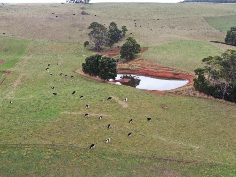 33 Gabys Road, Nabageena TAS 7330