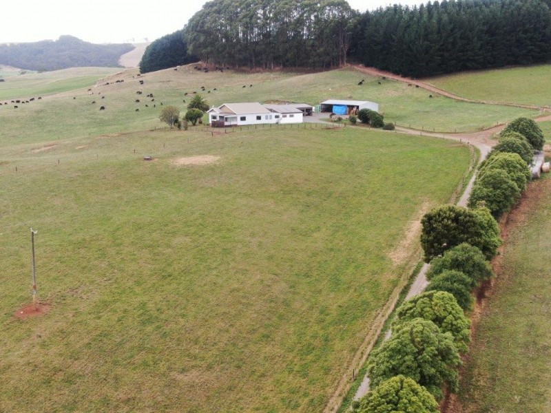 33 Gabys Road, Nabageena TAS 7330