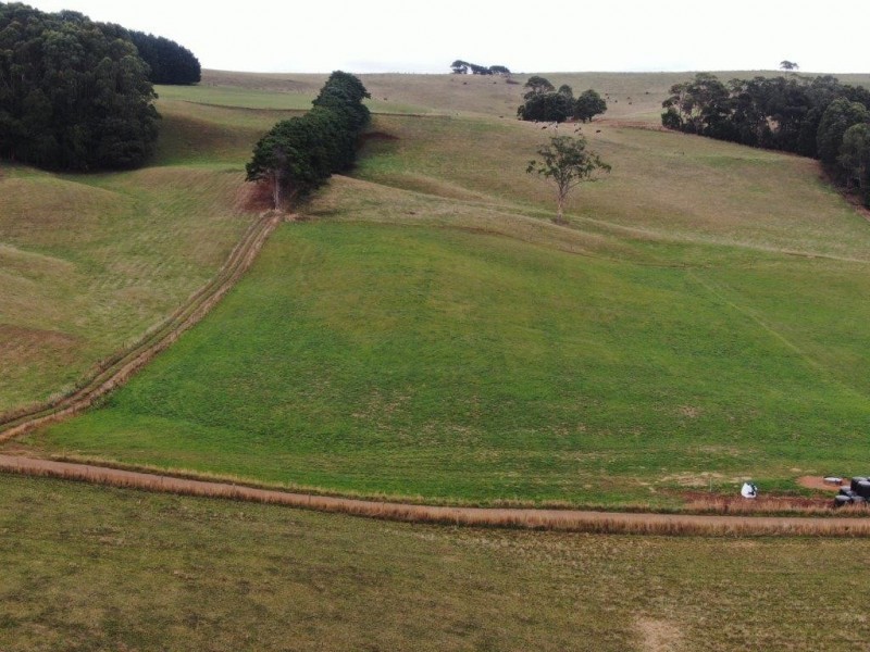 33 Gabys Road, Nabageena TAS 7330