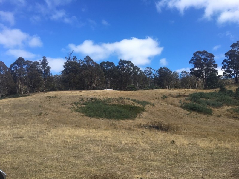 350 Springhill Bottom Road, Colebrook TAS 7027