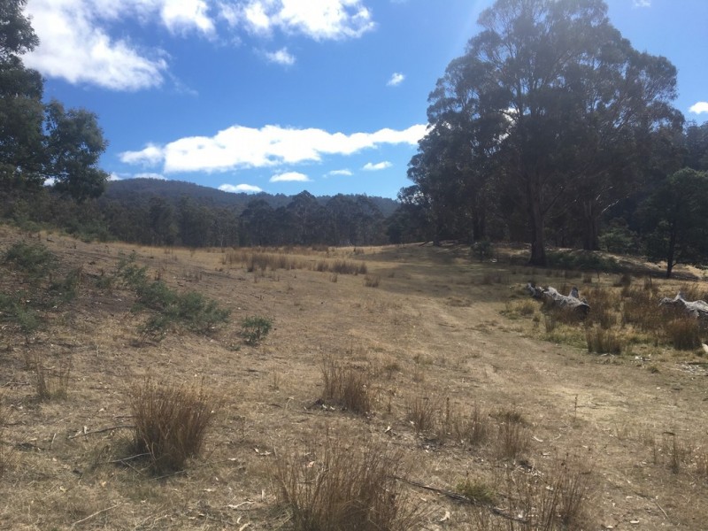 350 Springhill Bottom Road, Colebrook TAS 7027